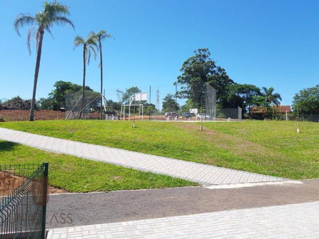 Terreno à venda em Centro, Nova santa rita cod:TE0296 - Foto 7