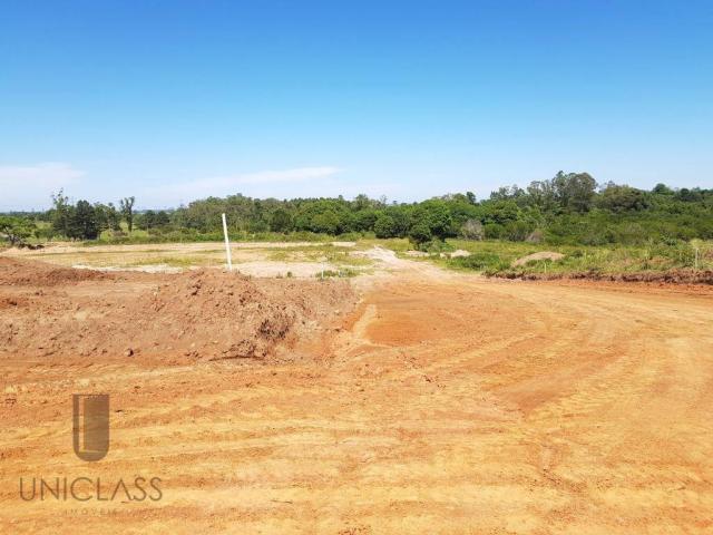 Terreno à venda em Centro, Nova santa rita cod:TE0296 - Foto 18