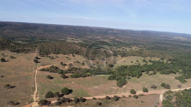 Fazenda 1.050ha região rosario oeste (cedral) - Foto 6