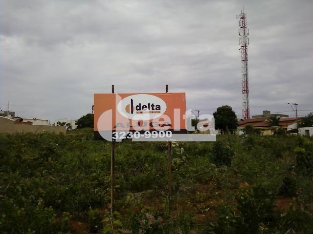 Terreno para alugar em Segismundo pereira, Uberlândia cod:221457 - Foto 4