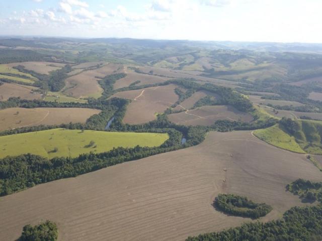 Vendo fazenda 350 alqueires em arapoti-pr - Foto 3