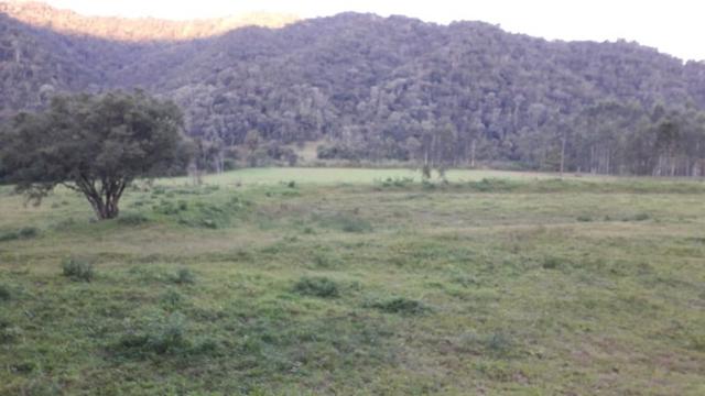 Fazenda - Foto 6