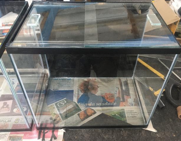 Aquário novo - Foto 2