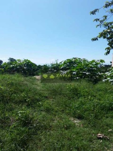 Terreno a venda em Braz de Pina - Foto 4
