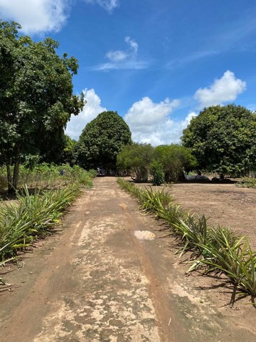 Captação de Terreno a venda na Rua Oriente, Cidade Universitária, Maceió,  AL