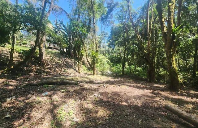 1.2 hectares 217 mil reais rico em água  - Foto 15