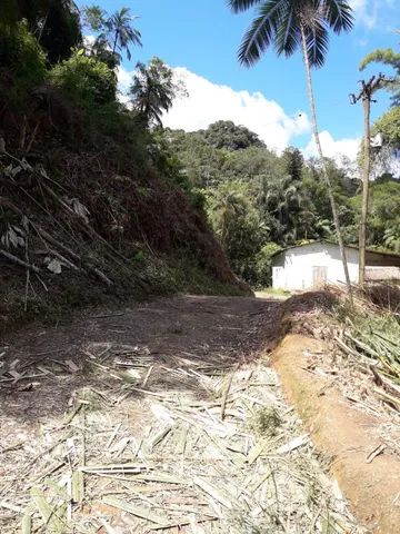 Fazenda 80 alqueires...Miracatu-SP com bananal - Foto 4