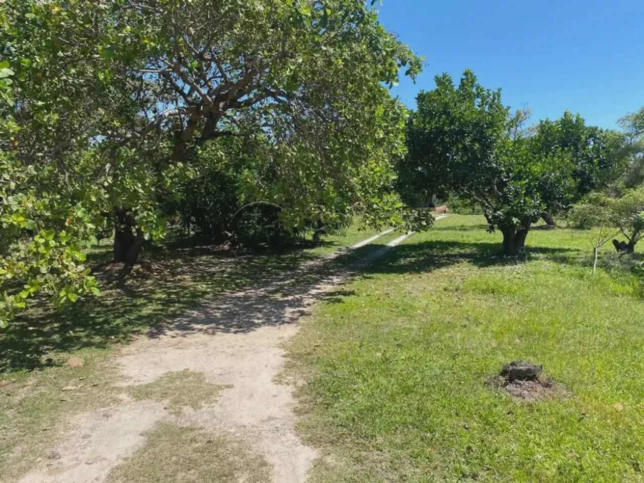 Sitio em área urbana no Marcos Freire III - Foto 3