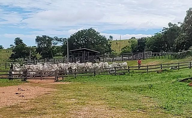 Fazenda 75 Alqueires - Dupla Aptidão 