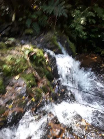 Fazenda 80 alqueires...Miracatu-SP com bananal - Foto 2