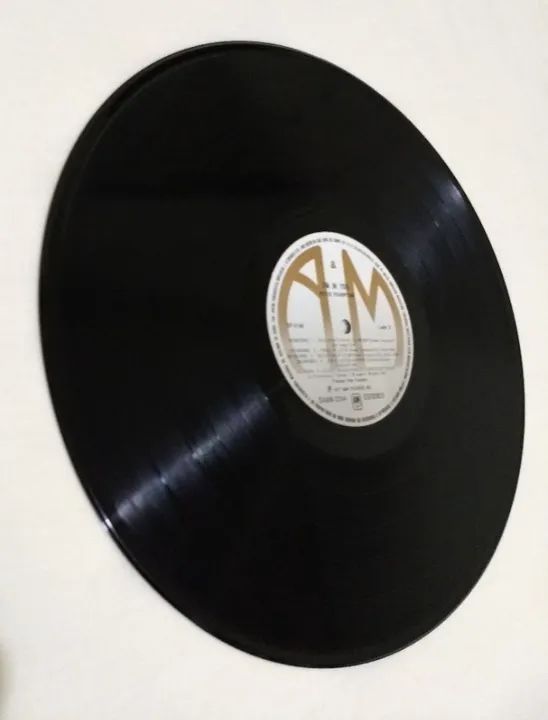 LP Peter Frampton - I'm In You - Com Encarte. (P-1977) Nacional. Ótimo Vinil. - Foto 6