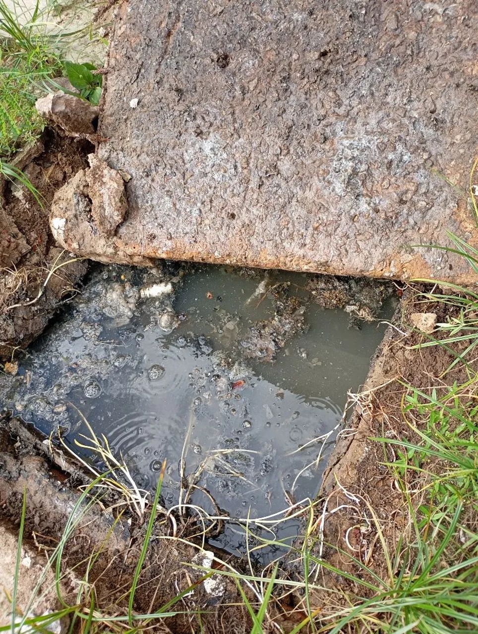 Desetupidora  - Foto 3