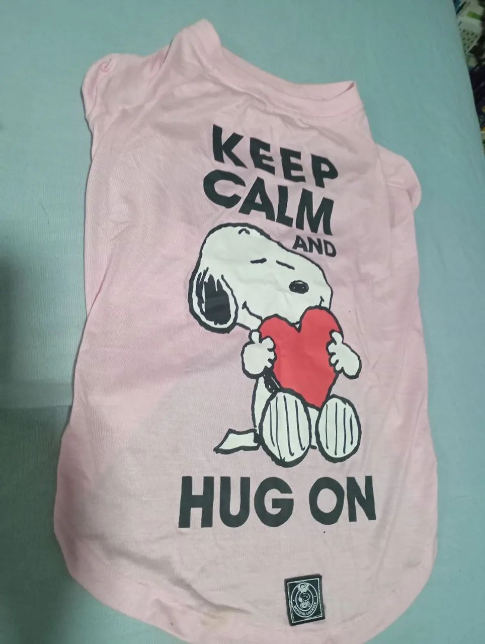Clothing for Your Pet