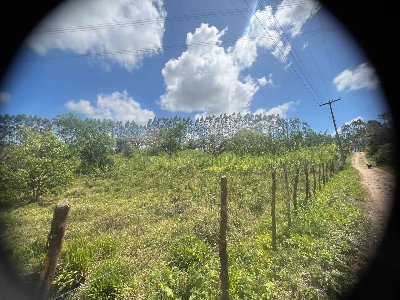 Chácara no Povoado Tabocas - Socorro * - Foto 10