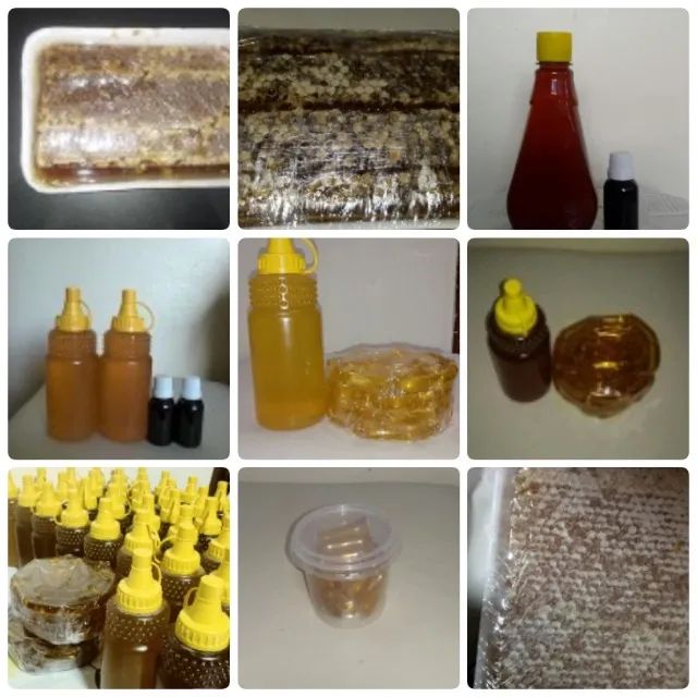 Mel e própolis puro da roça direto do apiário 