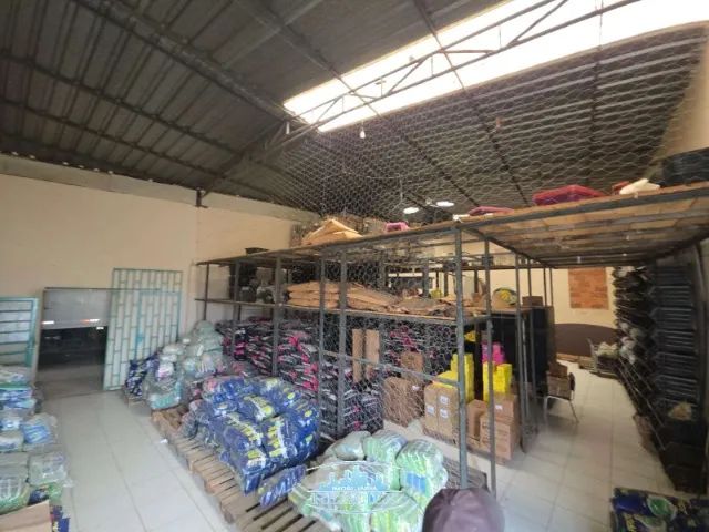 Código 4577 - Aluga galpão com lote, no bairro Caravelas - Foto 2