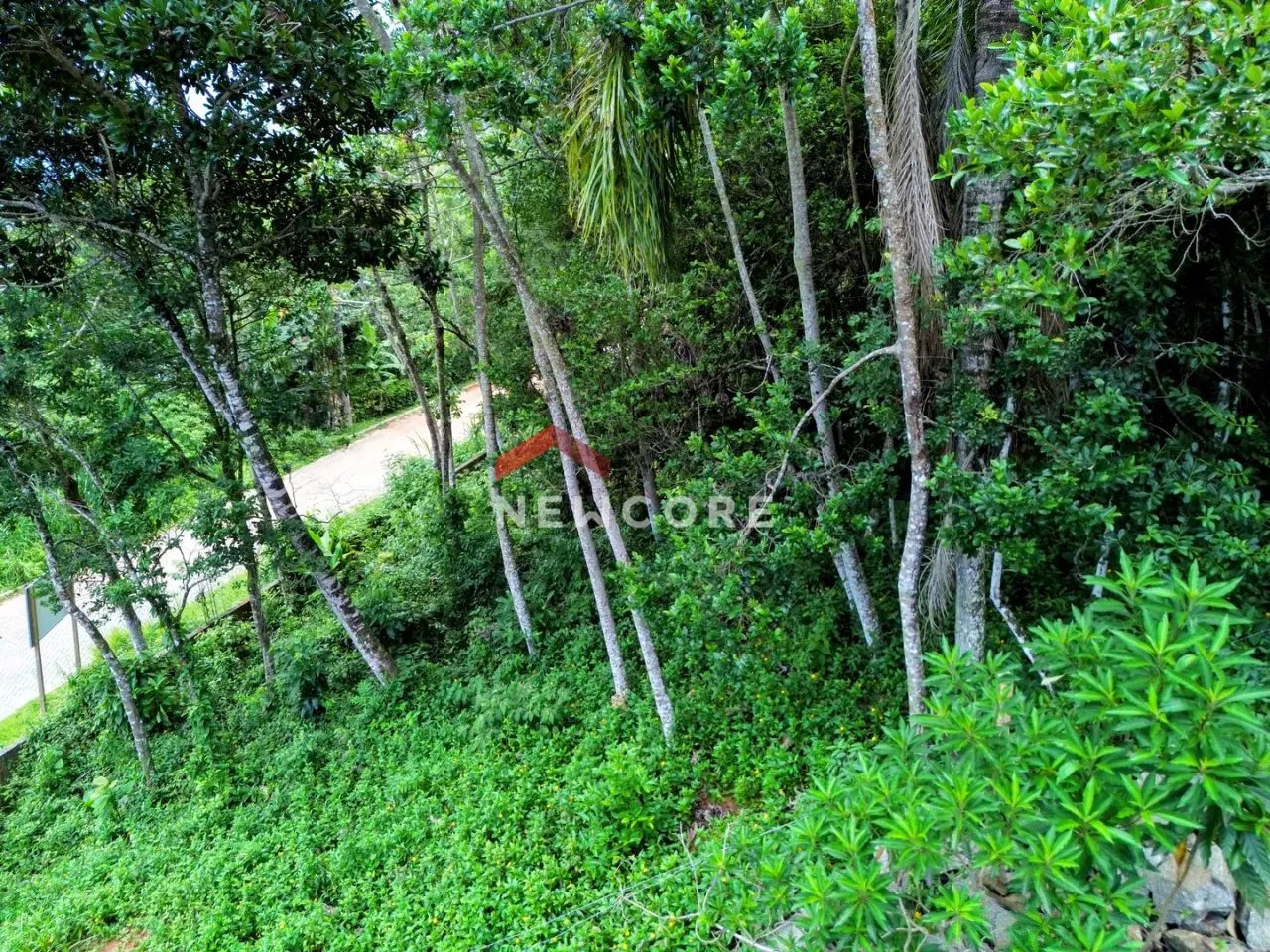 Lote em Rodovia Rafael da Rocha Pires - Sambaqui - Florianópolis/SC - Foto 5