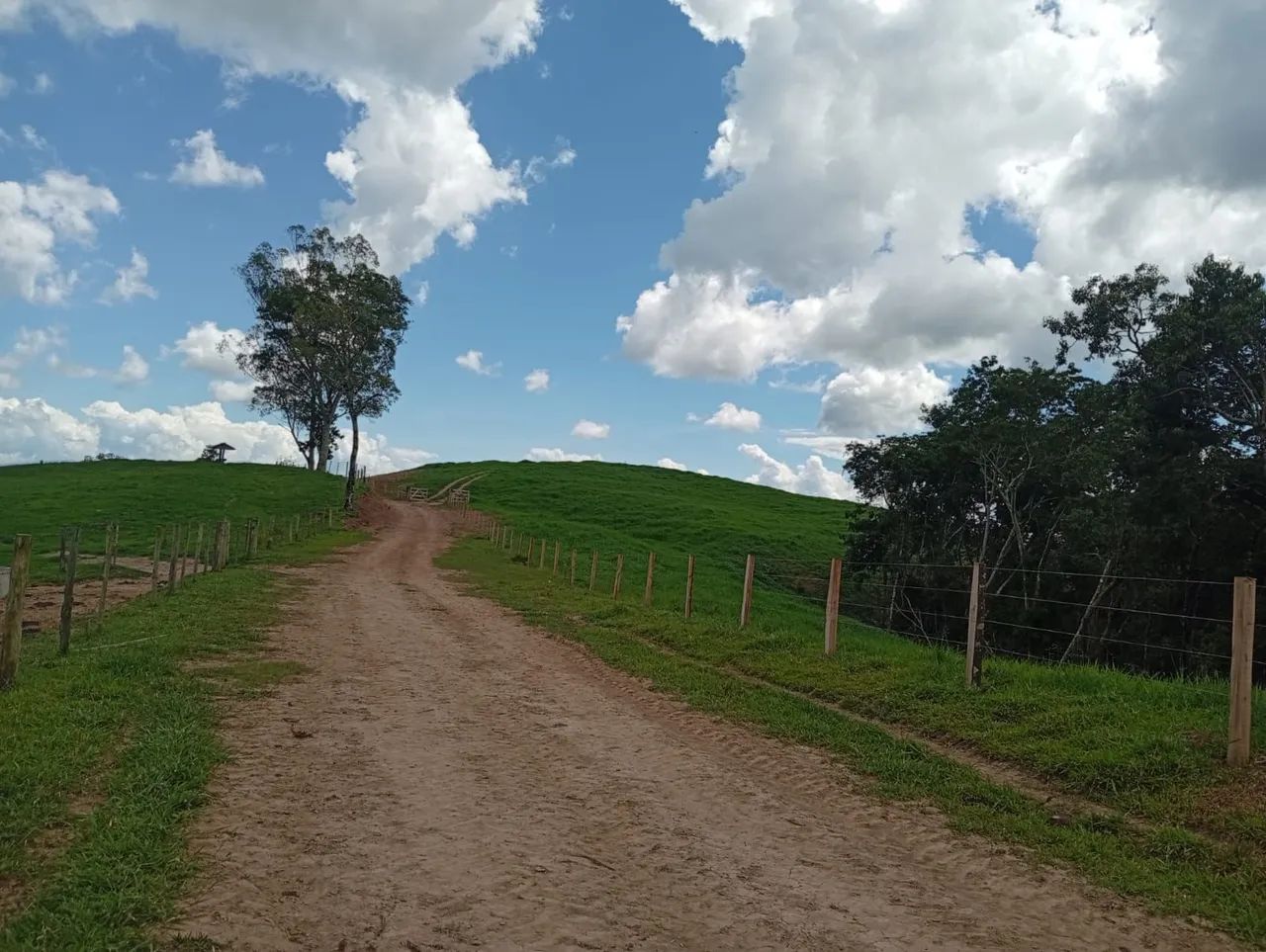 Fazenda 113.8  alqueires  - Foto 2