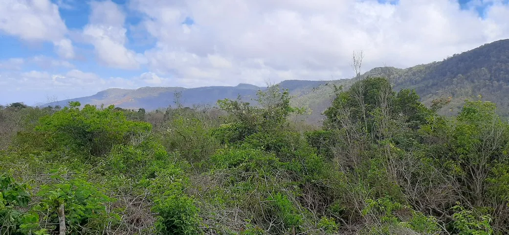 Vista panorâmica pico Alto Guaramiranga