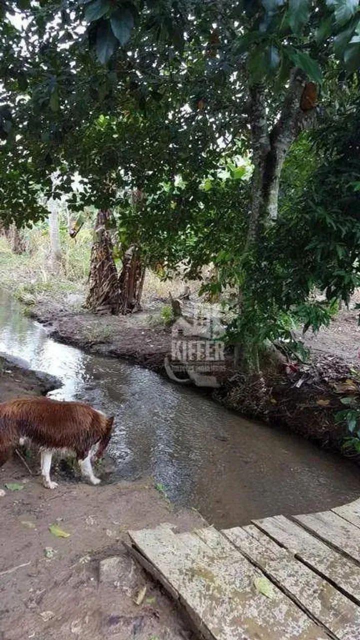 Fazenda à venda, 840281 m² por R$ 4.500.000,00 - Mazomba - Itaguaí/RJ - Foto 12