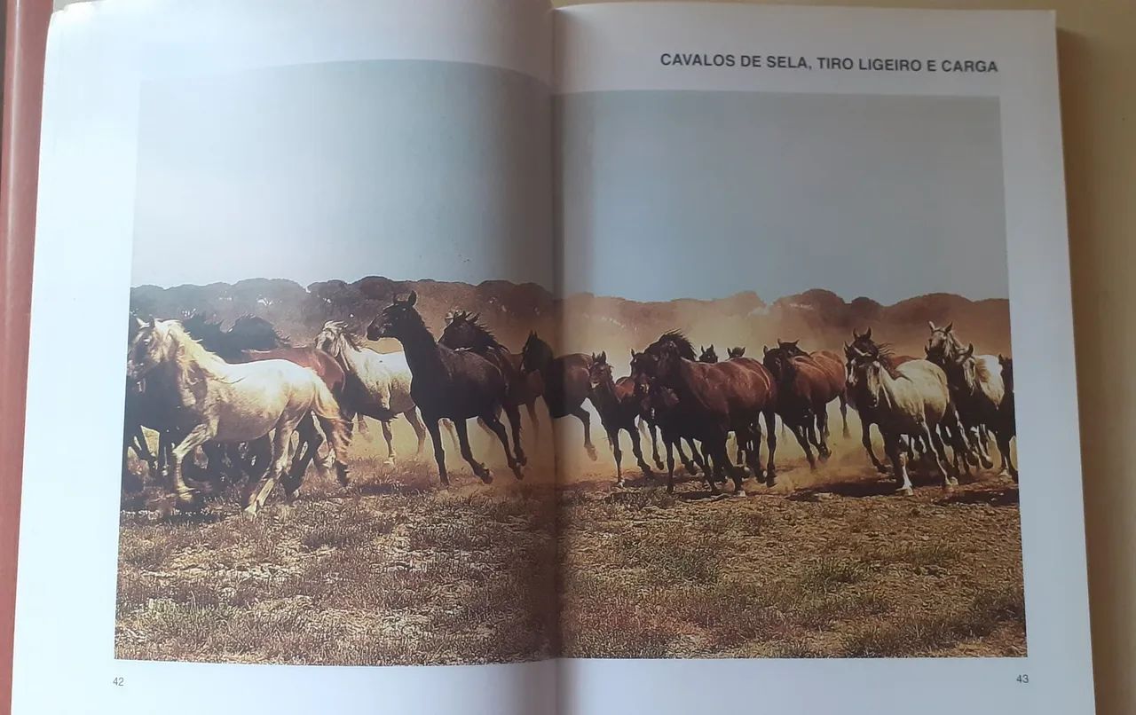 Livro "Guia das Raças de Cavalos", de Maurizio Bongianni - Foto 5