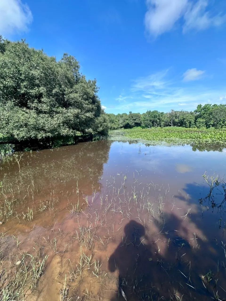 Fazenda 51 alqueires em Peixe Tocantins  - Foto 4