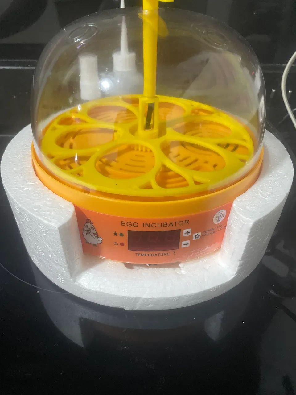 Incubator 