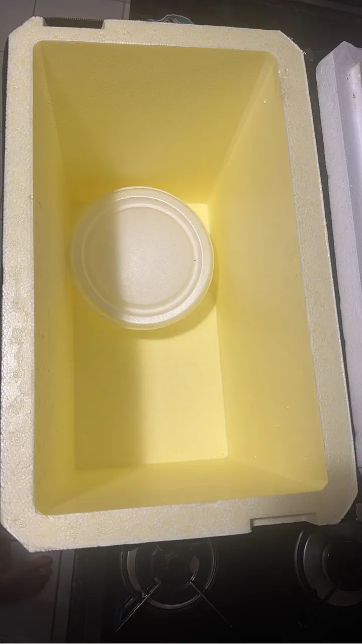 Bag Delivery 24L - Foto 2