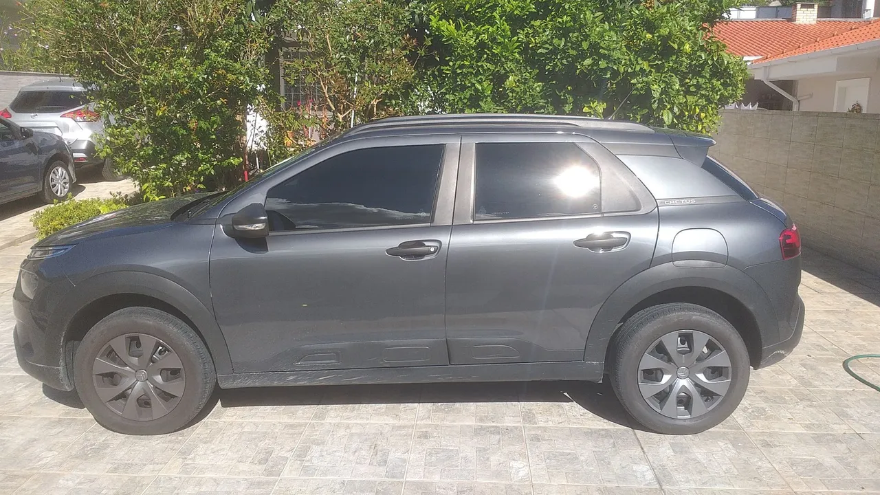 C4 Cactus impecável