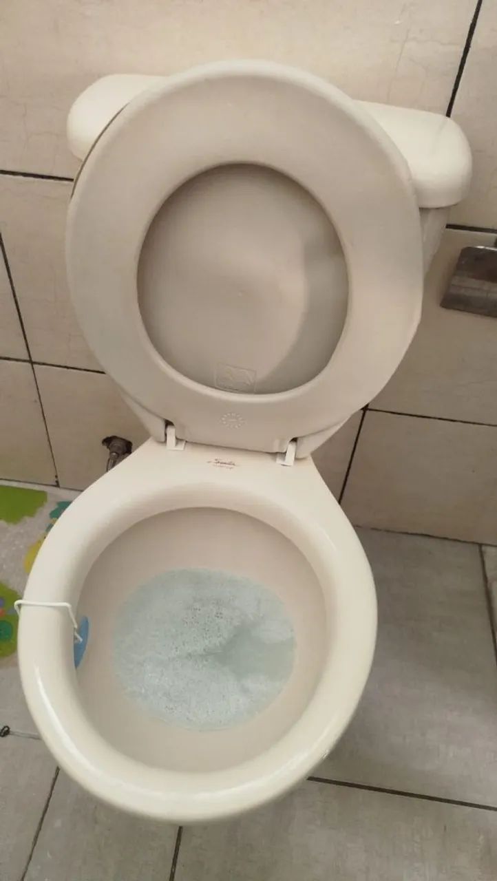 Toilet with Integrated Cistern64706407896322120