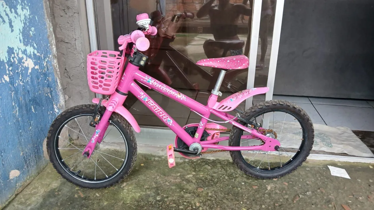 Bicicleta