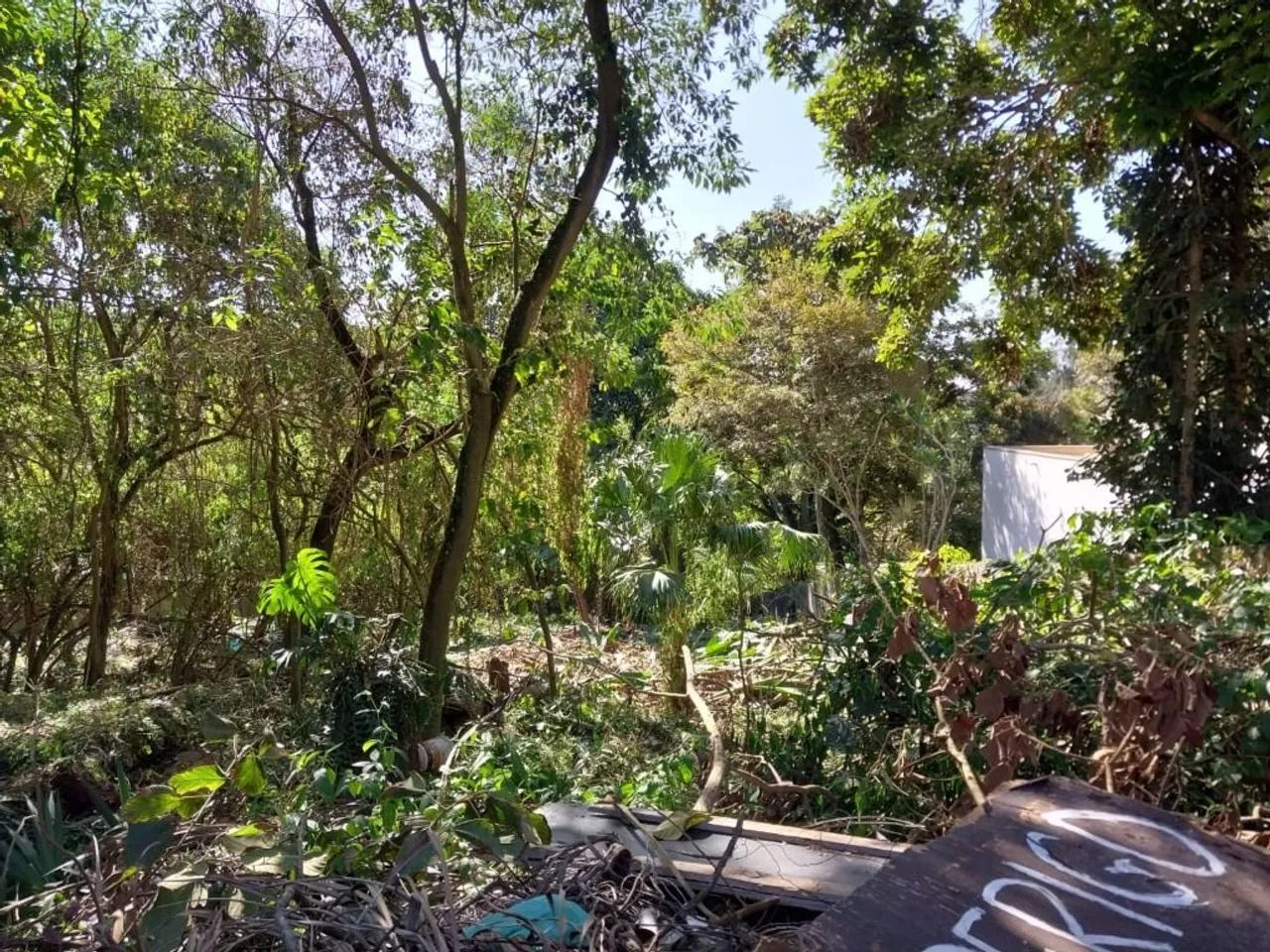 Terreno à venda, 1459 m² por R$ 600.000,00 - Granja Viana - Cotia/SP - Foto 3
