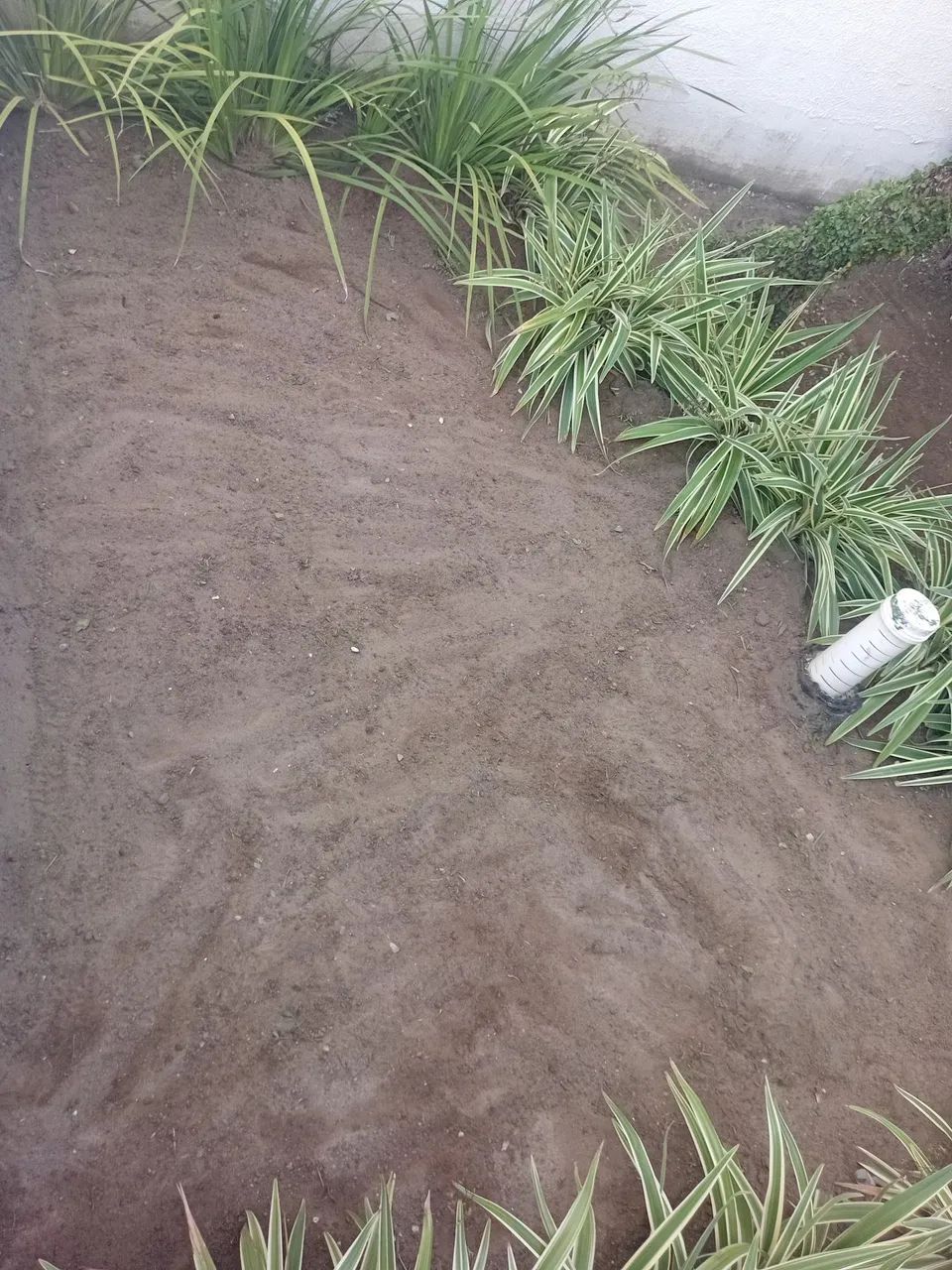 Jardineiro disponível  - Foto 4