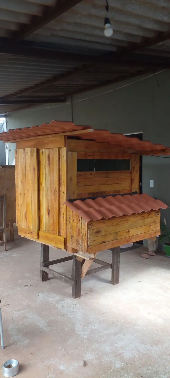 Oferta Jardim botânico-DF Para 25 aves em madeira rústica