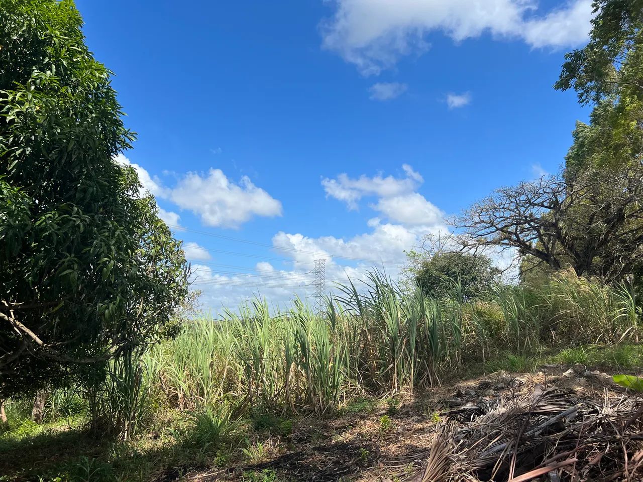 Chácara no Povoado Tabocas - Socorro * - Foto 2