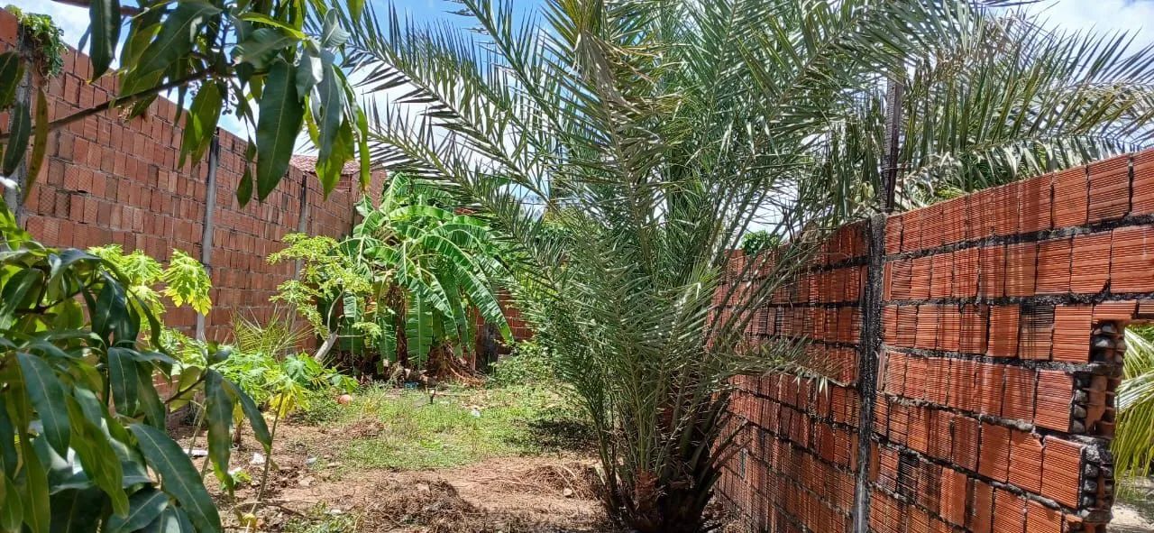Casa e terreno a  venda em maracanau - Foto 12