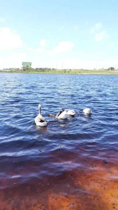 + Fazenda Real lote quitado com 525m - Foto 2