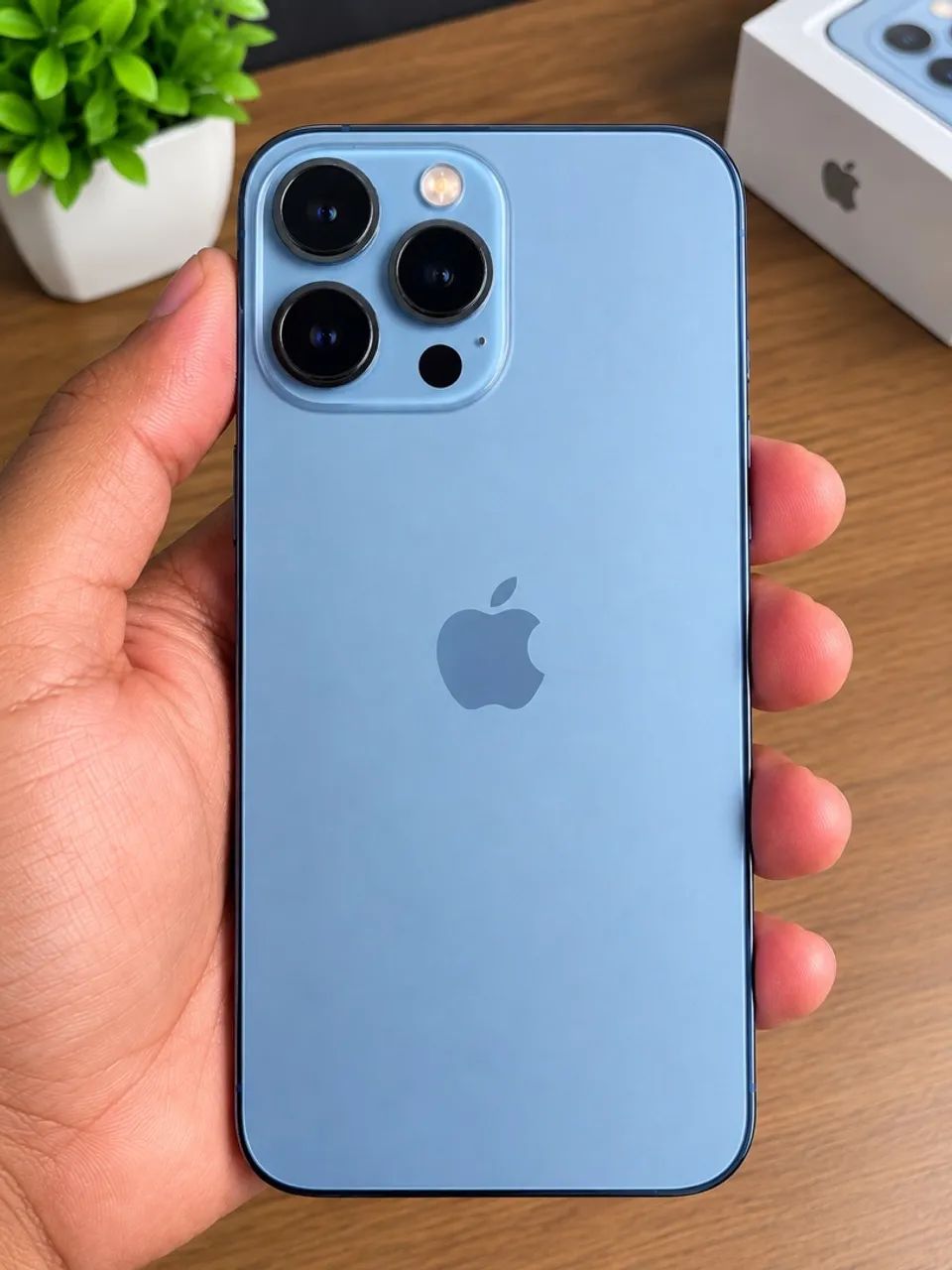 iPhone 13 Pro Max