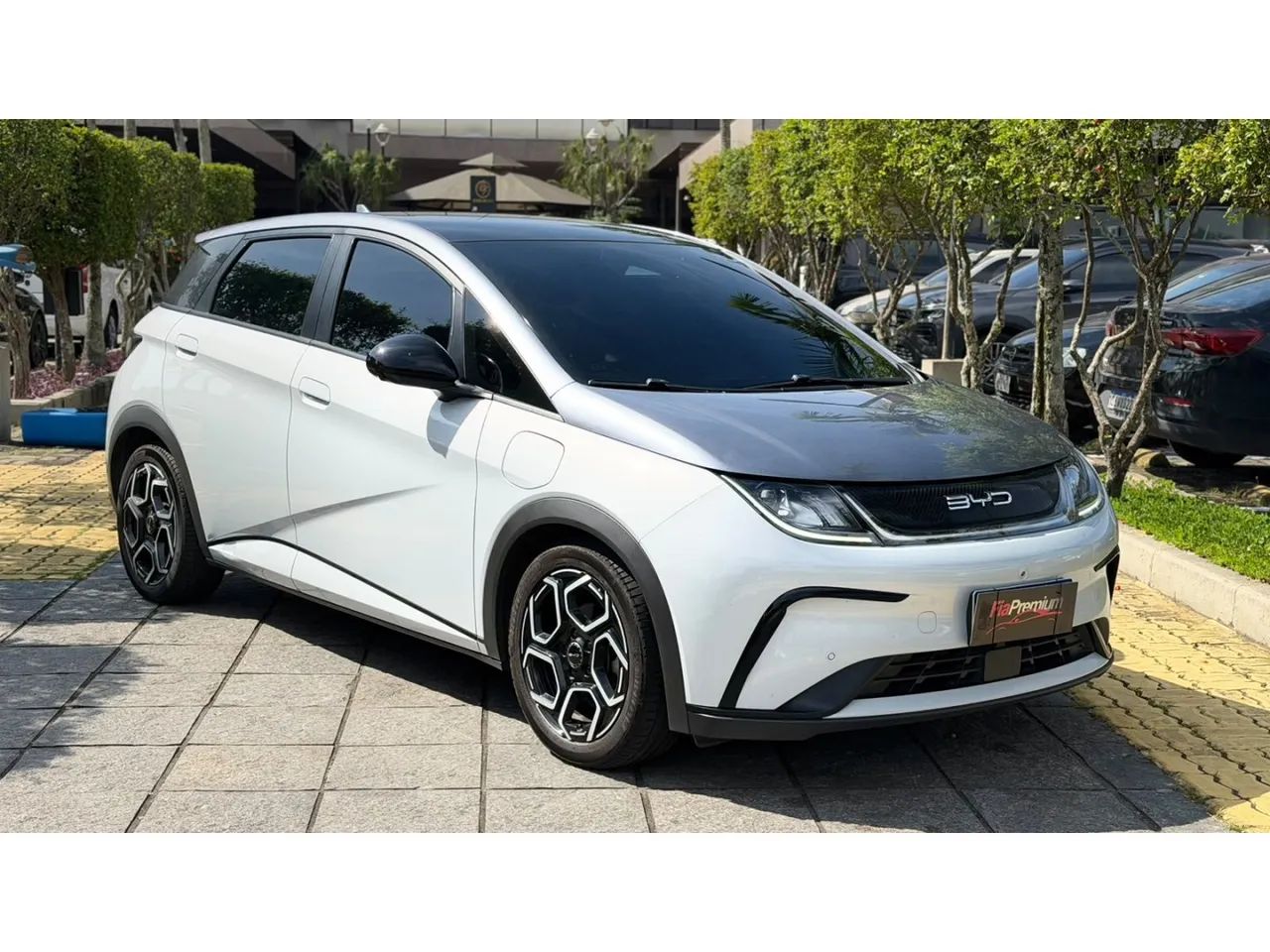 BYD Dolphin Plus (Elétrico) 2025 - Foto 4