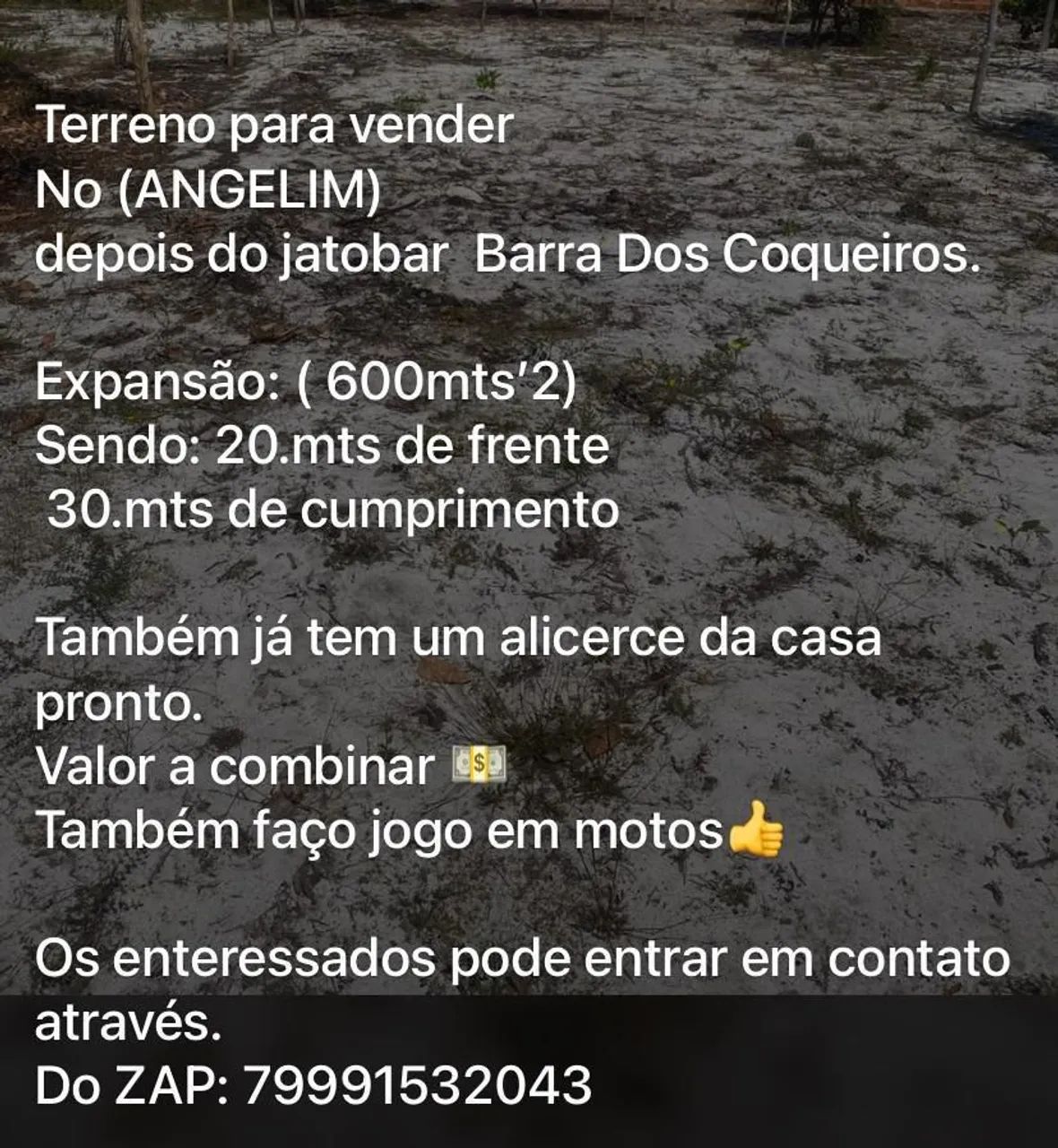 Terreno