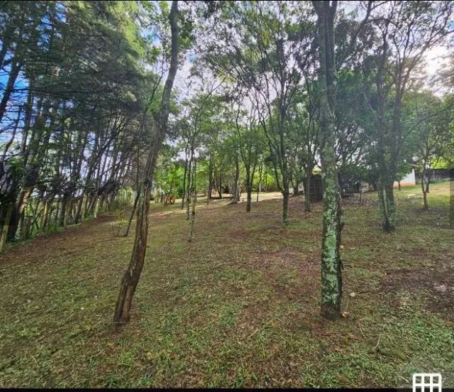 chácara com terreno  - Foto 3