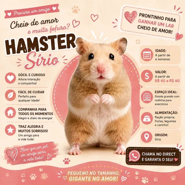 Hamster sírio 