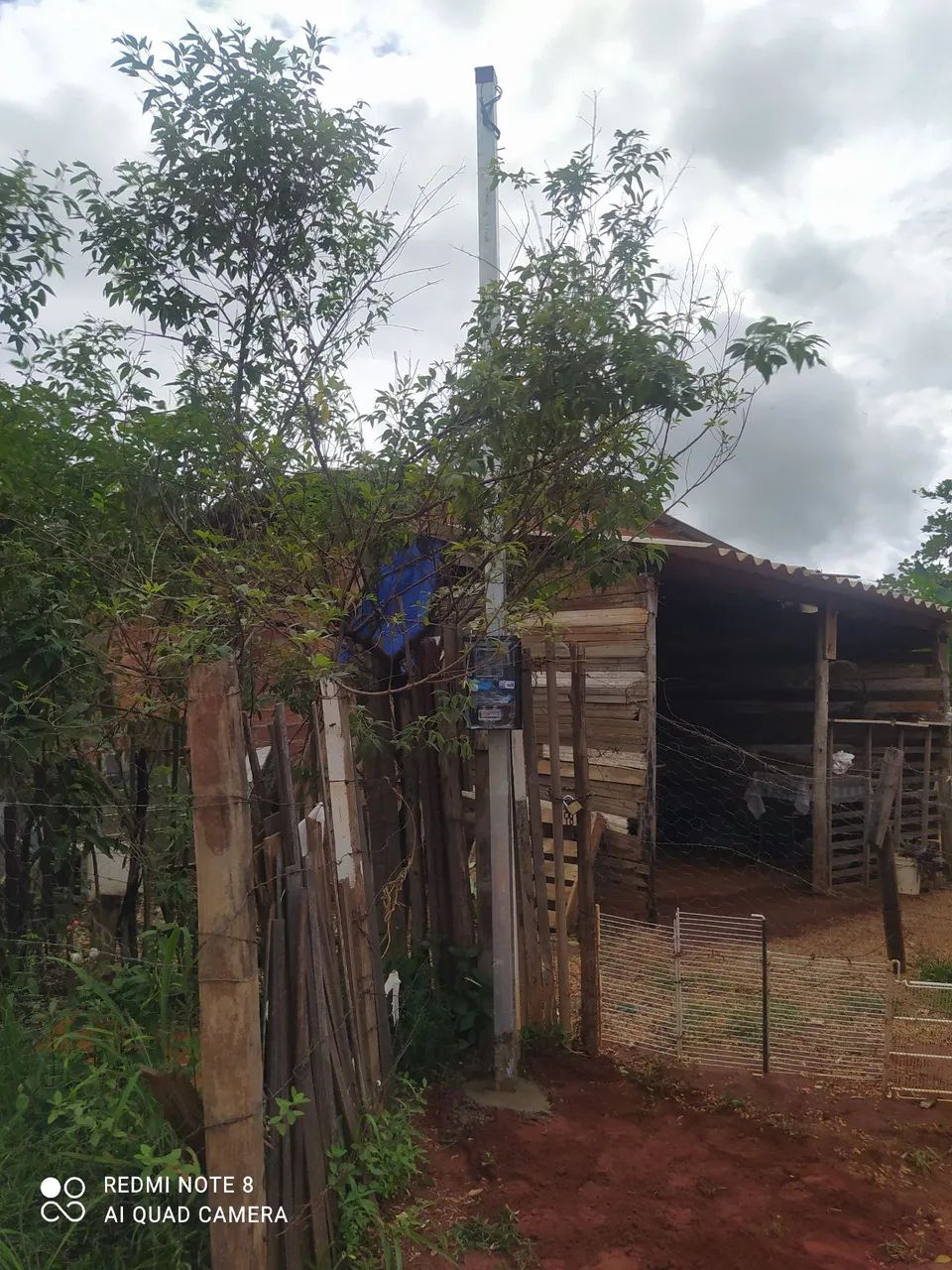 Padrão 2 cx 3 cx Celg equatorial  - Foto 2