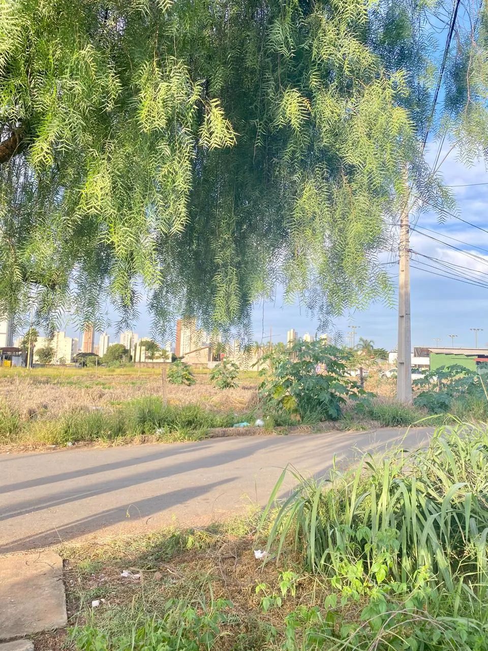 PRÓXIMO A AVENIDA RIO VERDE - Foto 3