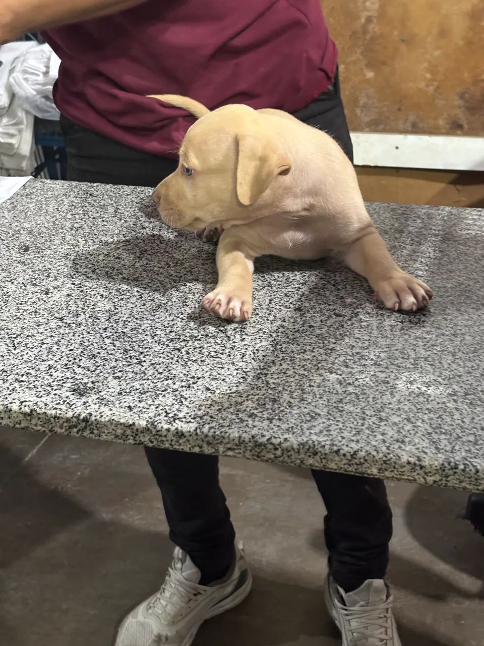 Pit monster