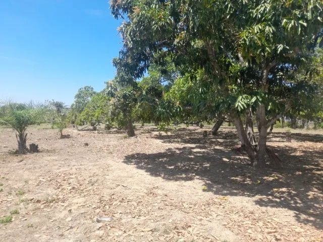 LOTE DE 13068M² - Foto 2