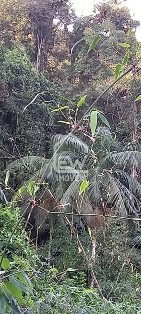 Área com Vegetação Nativa para Averbação de Compensação Ambiental - Foto 3