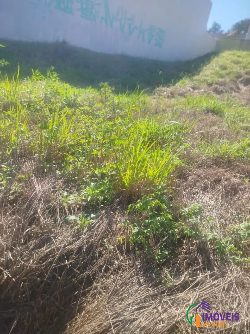 TERRENO - RESIDENCIAL SÃO LUIZ - SP - Foto 3