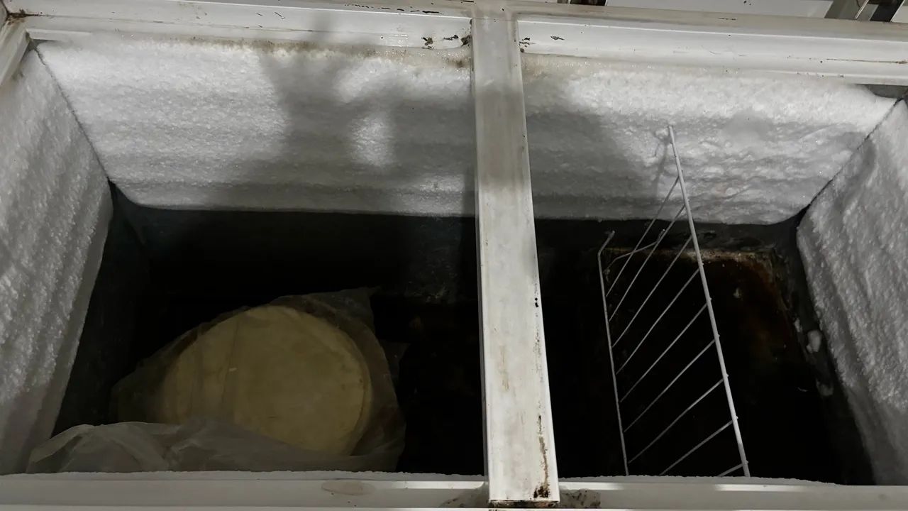 Freezer cônsul 510l