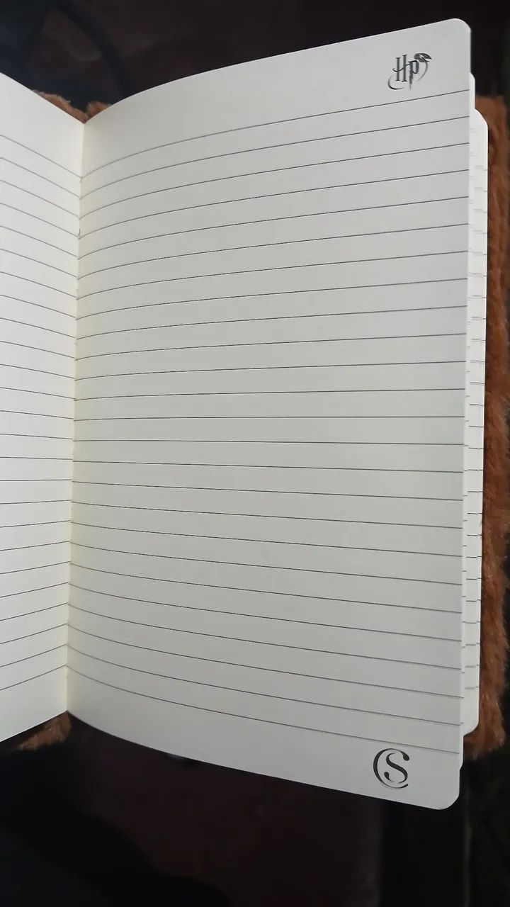 caderno Harry Potter - Foto 3